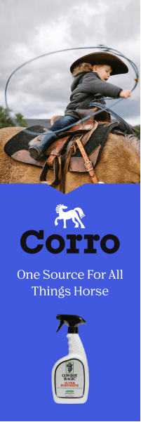 https://corroshop.com