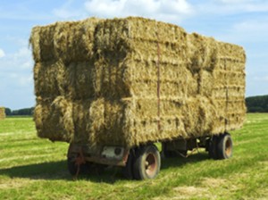 Hay Wagon