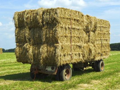 Michigan Hay Prices Lower in 2013 Compared to 2012