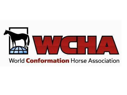 Three New WCHA Non-Pro OBE Weanling Classes Scheduled For APHA World Show