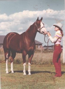 Caption: "The sorrel overo mare in the pictures is a 1971 model by Two Eyed Jack and out of a Quarter Horse mare named Sailor’s Maiden. We bought her from Darol Dickinson (the artist and photographer from Colorado). This was the only Sailor’s Maiden offspring registered Paint, although I understand Greg Whalen bought her and raised several AQHA champions out of her." Photo courtesy of Clea Bobbitt, circa 1974.