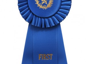 blue ribbon _AQHA_Equine Chronicle