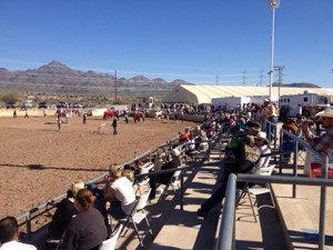 A huge crowd gathers for the Costume Showmanship class at the Arizona Copper County POR. Image courtesy of Mike Fester. 