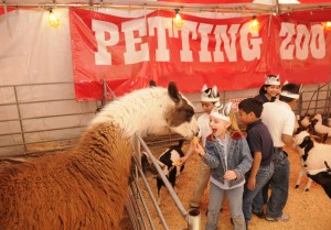 Fun at the Petting Zoo!