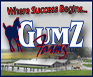 Gumz Farms Offers Two Year Olds in Training For Sale