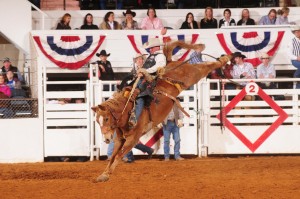 Saddle Bronc Champion Shaun Stroh