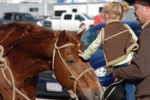 A love of horses starts at a young age. 