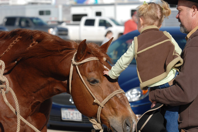 Behind The Scenes Photos at 2014 Fort Worth Stock Show and Rodeo