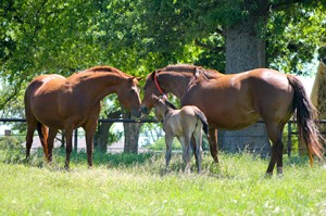 It's baby time! Photo Credit: Brittany Bevis