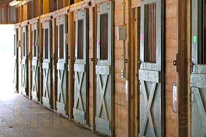 975 Horse Facilities Opening Stable Doors to Newcomers as Part of 100 Day Horse Challenge