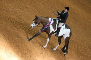 Coleen Bull and Timeless Assets- APHA Masters Amateur Top 20 #1