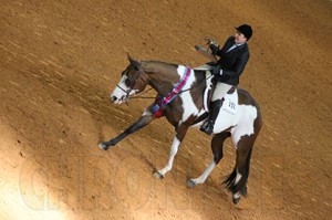 Coleen Bull and Timeless Assets at the 2013 APHA World Show.