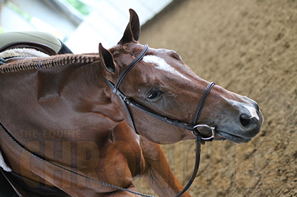 Would Your Noseband Pass the Pressure Test?