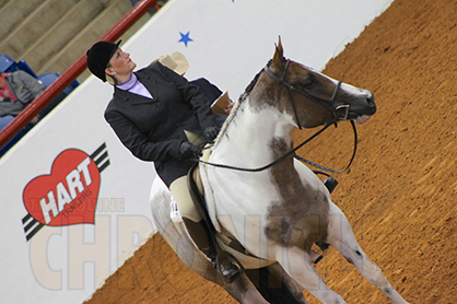 Unlock the Genetic Secrets of Your Paint Horse: Health, Color, and Performance DNA Panel