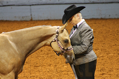 PHBA Welcomes the Yellow Rose Futurity to the World Show