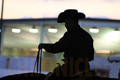 Top Clinicians Announced For 2015 Horse Expos