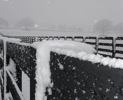 Equine Event Cancellations/Postponements Due to Winter Weather- 2/27