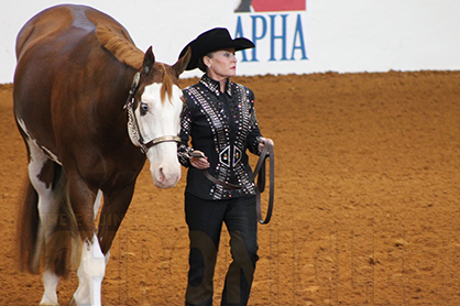 Double Check 2014 APHA Points Online