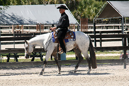 Place Your Bid Now in 2017 Appaloosa Stallion Service Auction