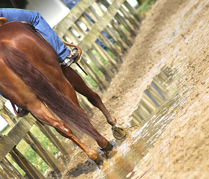 Free Webinar (Feb. 16th)- “Common Mistakes When Building and Maintaining an Outdoor Arena”