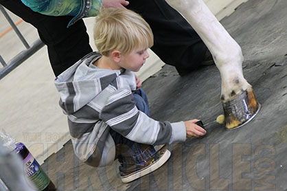 Horse Clipping Tips For the Show Pen