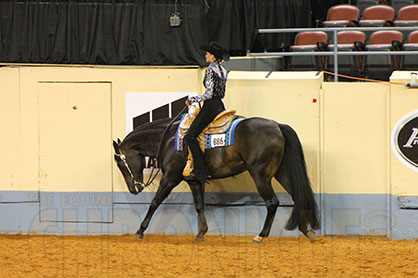 SC Equestrian Signs AQHYA Champion Megan Overberg