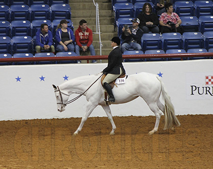 And the APHA Top 20 Shows of 2013 Are…
