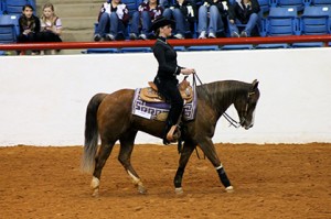 TCU Equestrian Calli Rouse at the 2012 Fort Worth Stock Show Duel.