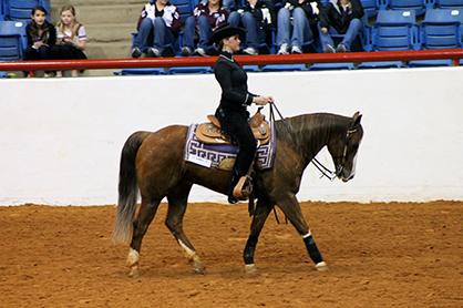 Collegiate Equestrian Stock Show Duel Will Take Place Tomorrow in Ft. Worth, TX