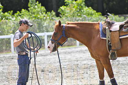 World’s Top Scientists Will Gather to Examine Importance of Horse, Saddle, Rider Interaction