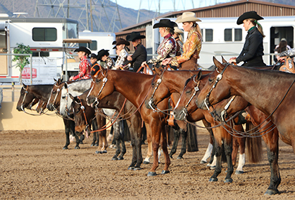 Top AQHA Shows List 2016