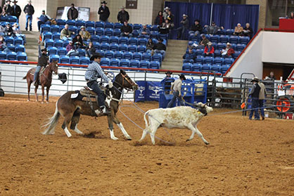 Paint Horses Shine in Multi-Breed Timed Event Challenge