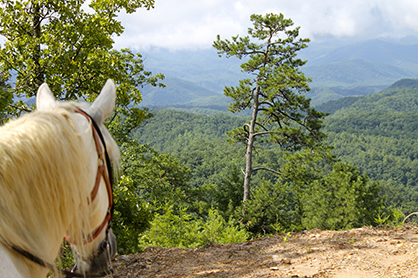Grassroots Efforts From Equestrians Played Important Role in Reauthorizing of Recreational Trails Program by Congress!