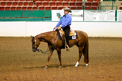 NSBA Sparking the Conversation About Judging of Western Pleasure, What’s Your Opinion?