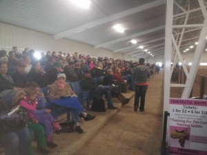 A huge crowd gathers to watch the 3 and Over Novice Horse Western Pleasure Slot class. Image courtesy of SOQHA