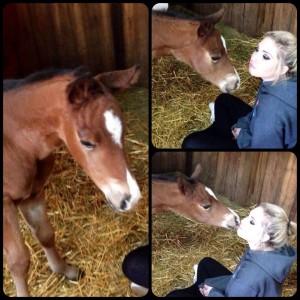 2014 filly by Lazy Loper and out of a daughter of Simply So Hot. Star Ranch Pleasure Horses photo. 