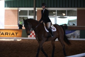 Photo courtesy of Baylor Equestrian.