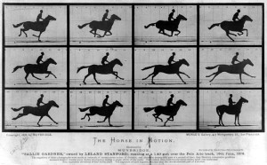 Muybridge's The Horse In Motion. (Public Domain image by 