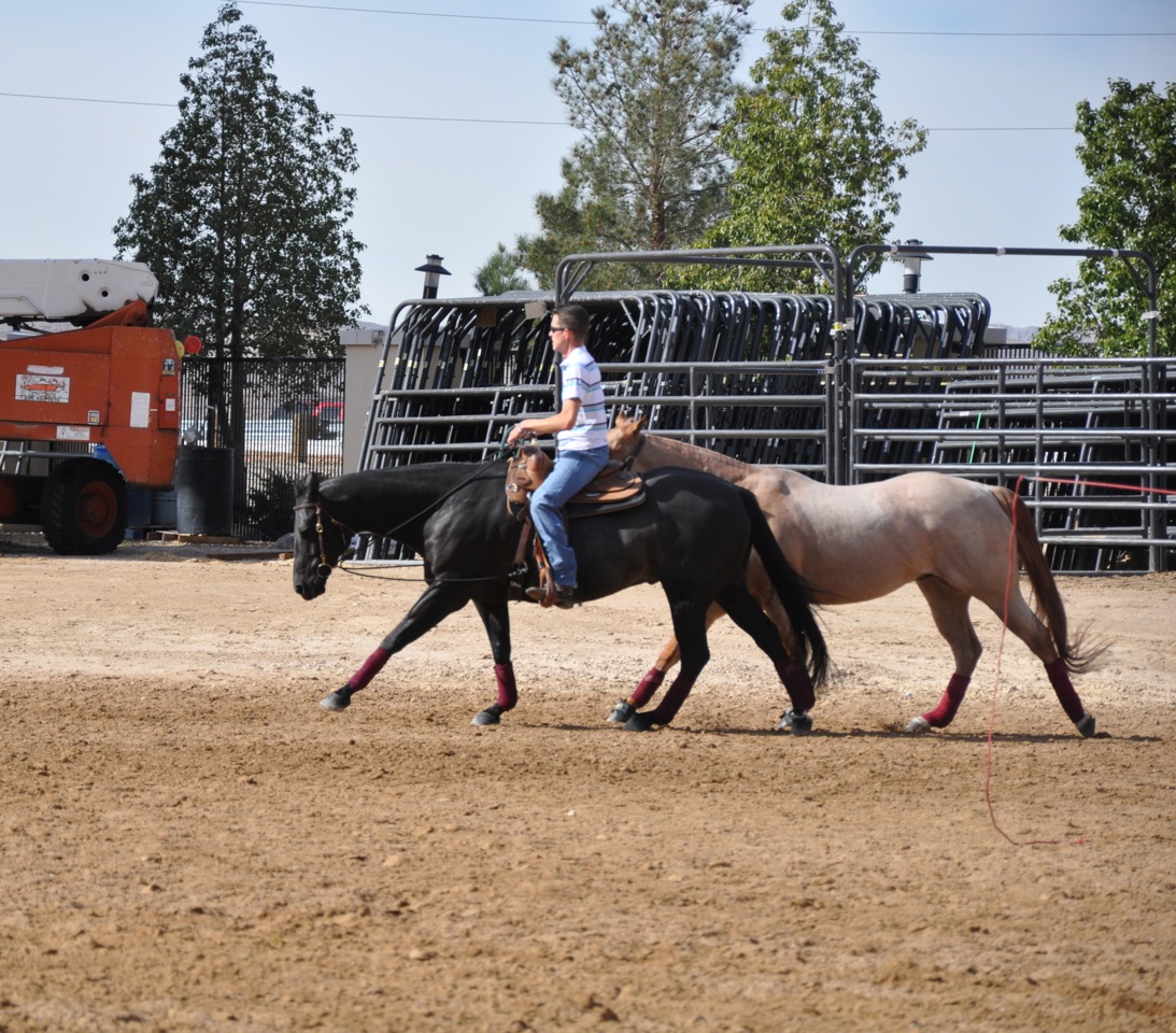 Behind the Scenes at 2014 Silver Dollar Circuit with Jenna Salmon