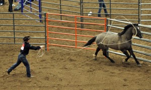 Jim Anderson works Speedy Cream in the round pen on the first day of competition. Photo Credit: Rick Samuels Photography