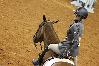 AQHA English Stirrup Rule Clarification For 2015