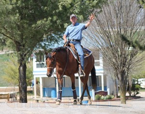 Fisher at the 2013 Virginia Quarter Horse Classic.