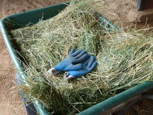 Check your hay