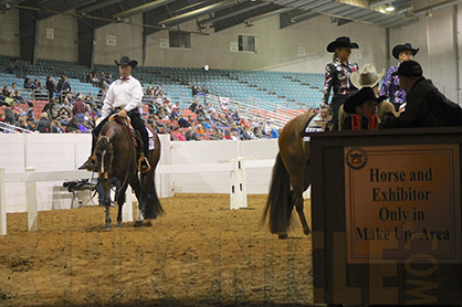 Check Out 2014 OQHA Show Schedule- 15 Shows and 40+ Judges