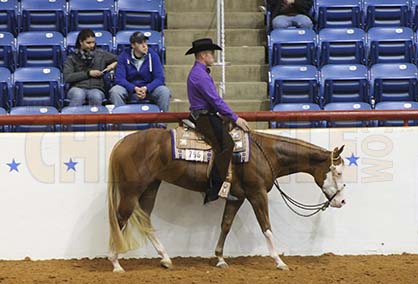 APHA Farnam Stakes Classes Expand to Three and Four-Year-Old Horses