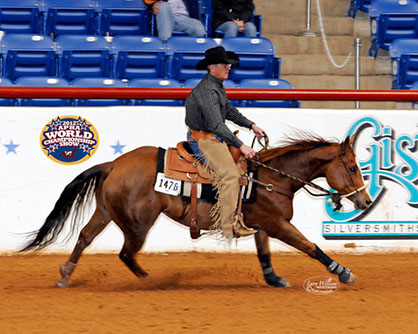 Solid Paint-Bred Named NRCHA National Champion