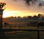 Are You Liable? Directory of Equine Activity and Recreational Use Statutes Organized by State Are You Liable? Directory of Equine Activity and Recreational Use Statutes Organized by State