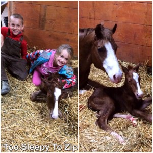 Joanna Bronson's kids, Ava and Aden, with their Too Sleepy To Zip filly out of HourRadicalValentine.