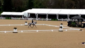 Dressage on a dismal Friday didn't disappoint the crowds. 