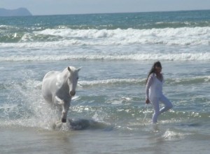 Blanco playing with Cynthia Royal at a California beach - Copyright Cynthia Royal 